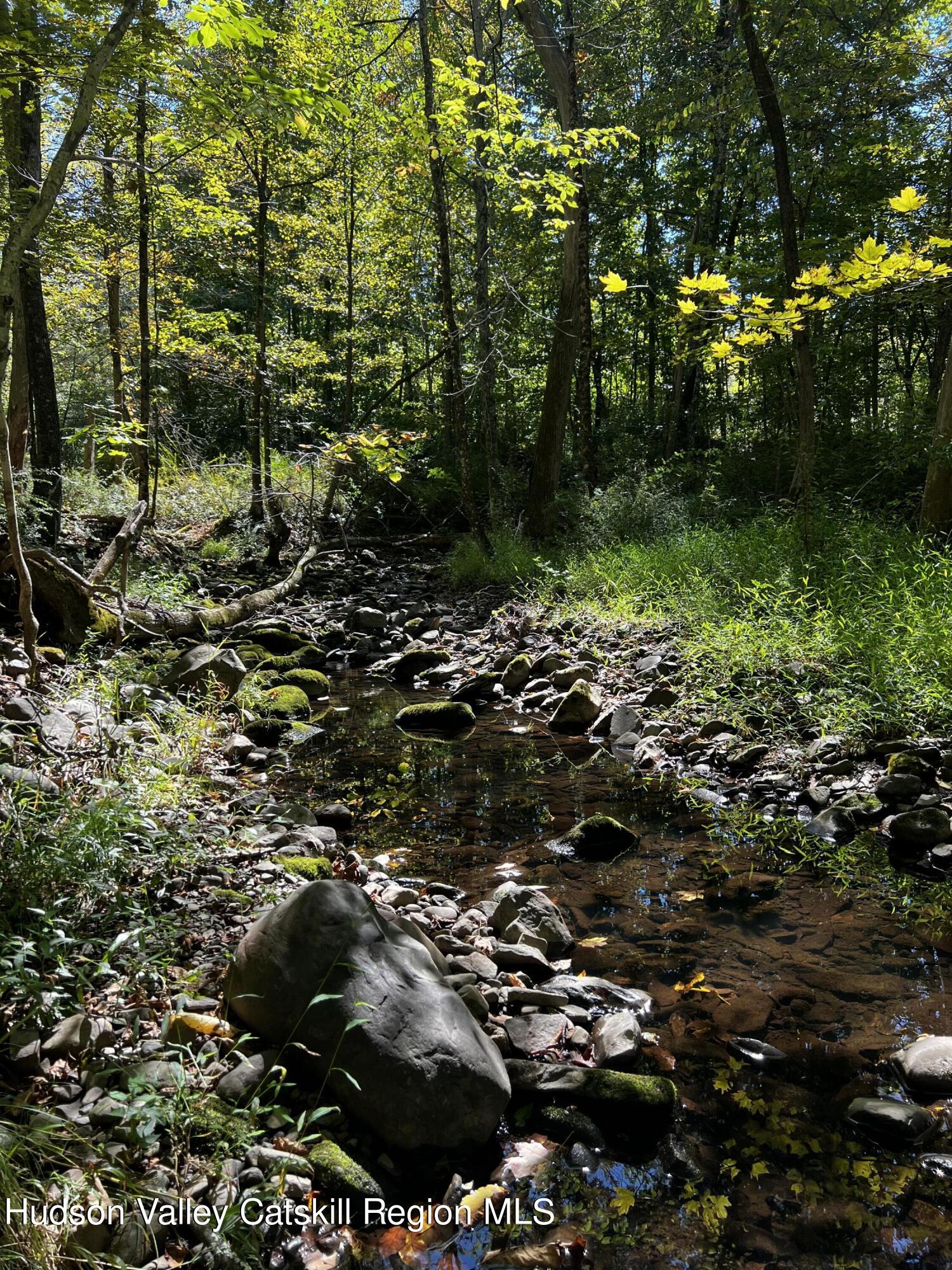 7 Clovewood Road High Falls, NY 12440 - Photo 39 of 41 a view of outdoor space and trees