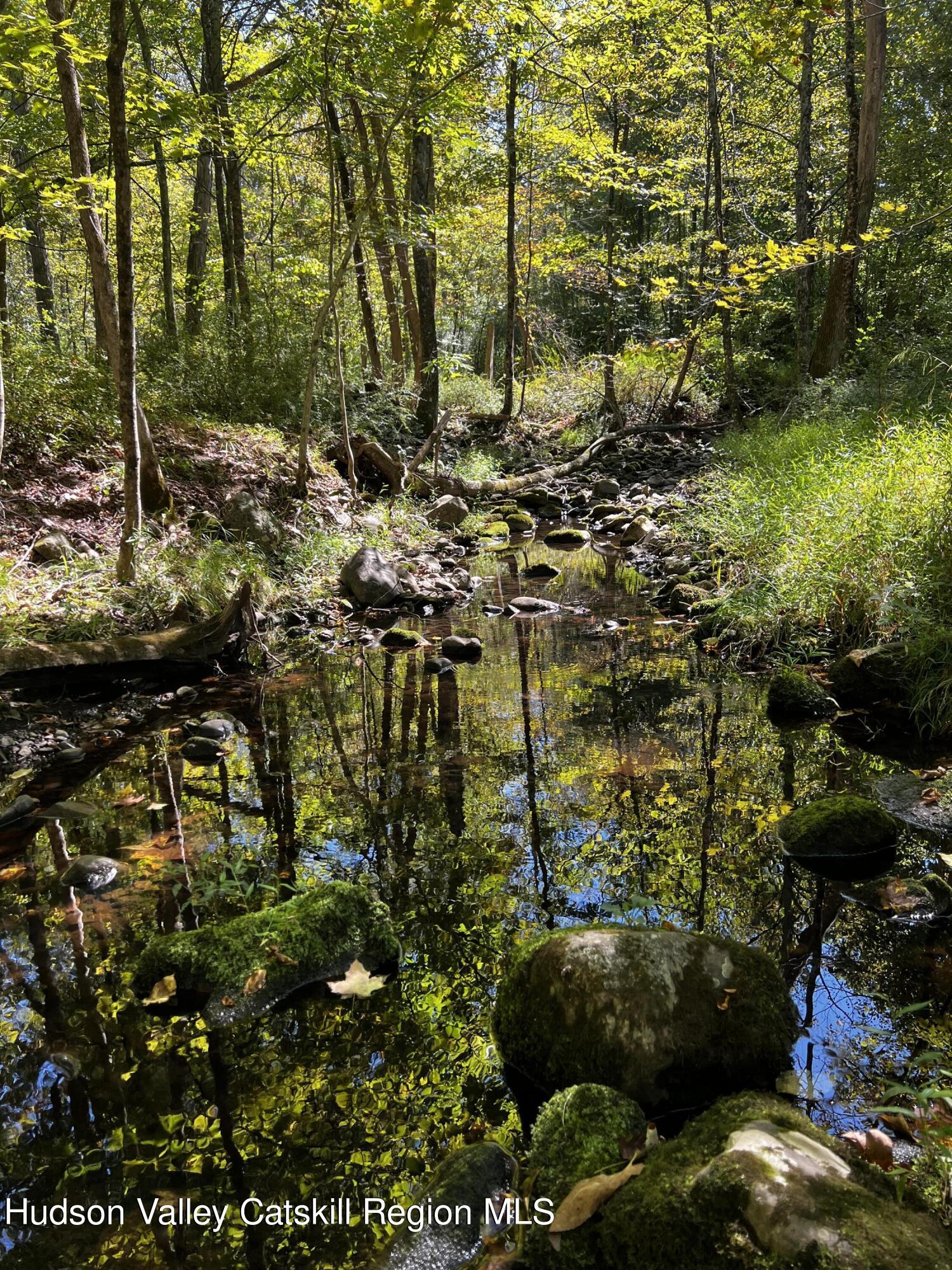 7 Clovewood Road High Falls, NY 12440 - Photo 4 of 41 a view of outdoor space and garden