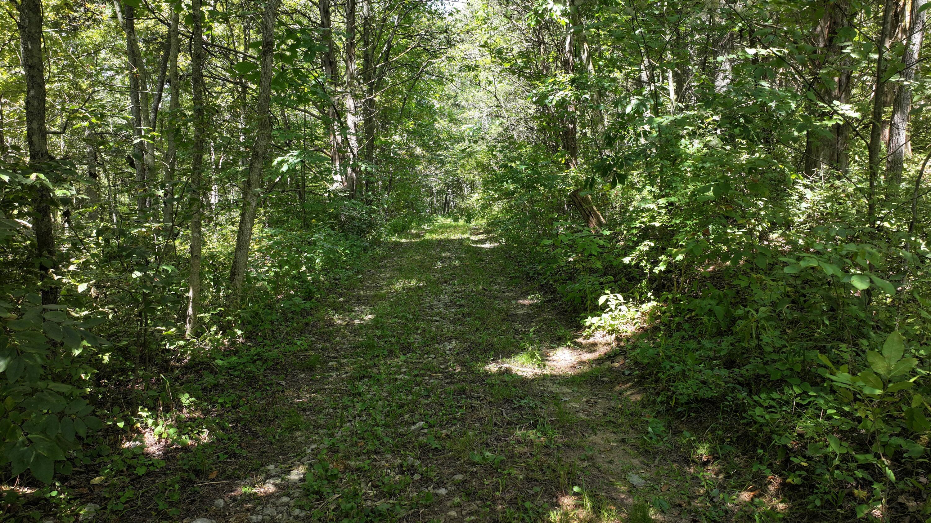 0 Caney Creek Road Owenton, KY 40359 - Photo 32 of 35