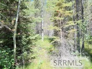 $110,000 | 4009 Coyote Road, Island Park, ID 83429