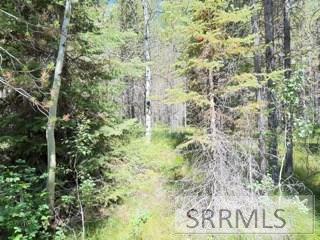 4009 Coyote Road Island Park, ID 83429 - Photo 2 of 6