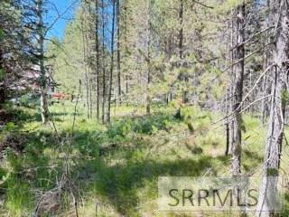 4009 Coyote Road Island Park, ID 83429 - Photo 3 of 6