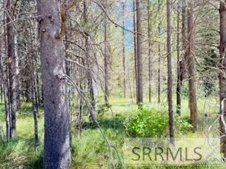 $110,000 | 4009 Coyote Road, Island Park, ID 83429