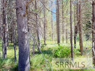 4009 Coyote Road Island Park, ID 83429 - Photo 5 of 6