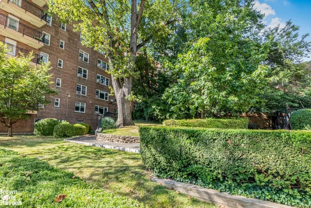 a view of a big yard with plants and large trees