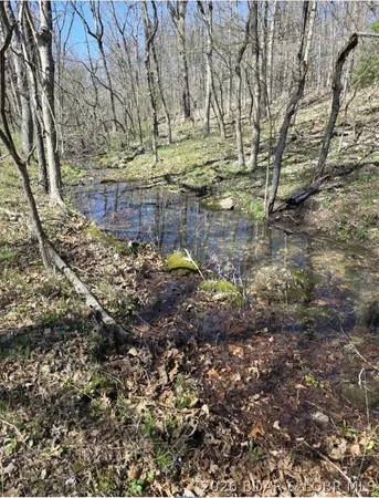 $167,000 | Tbd Tbd Geronimo Springs Road, Macks Creek, MO 65786