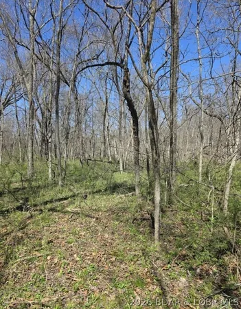 $167,000 | Tbd Tbd Geronimo Springs Road, Macks Creek, MO 65786