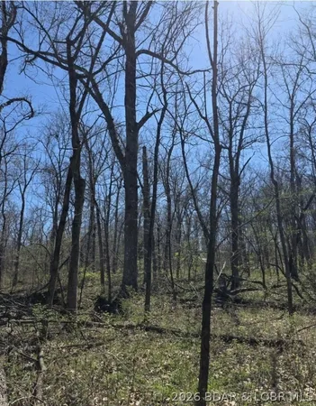 $167,000 | Tbd Tbd Geronimo Springs Road, Macks Creek, MO 65786