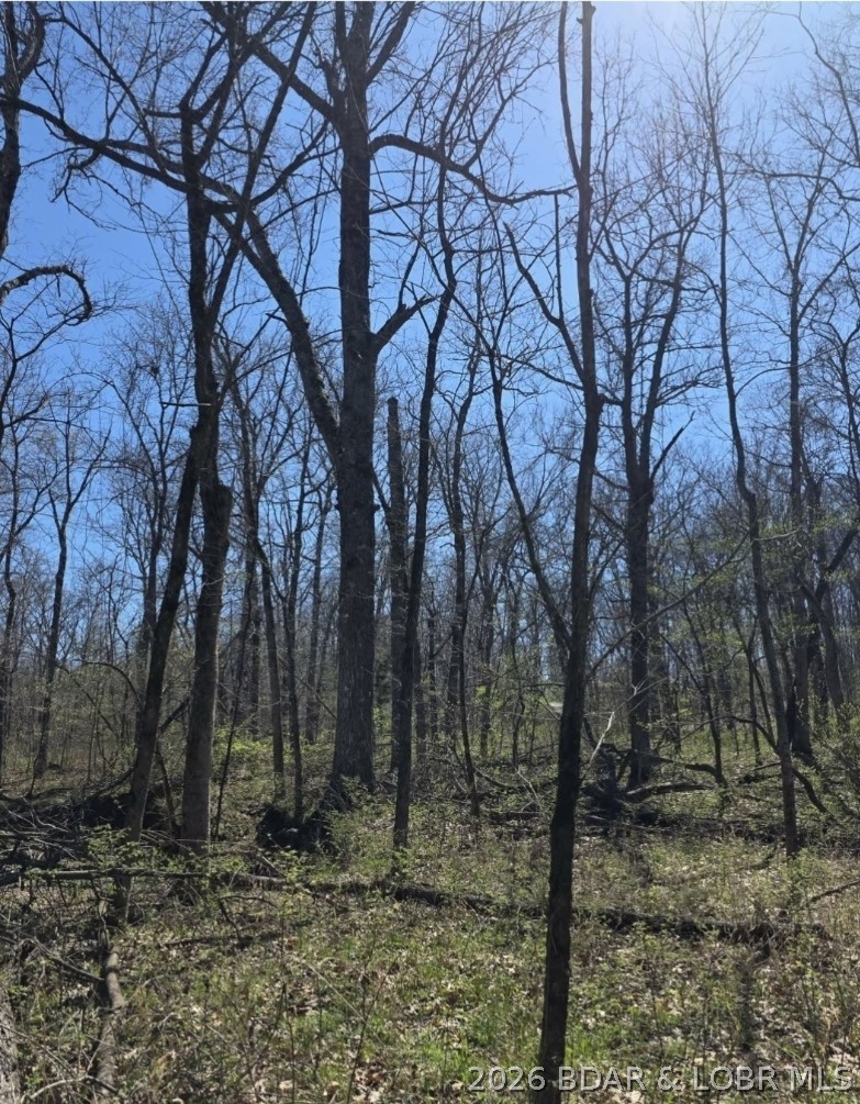 Tbd Tbd Geronimo Springs Road Macks Creek, MO 65786 - Photo 6 of 10