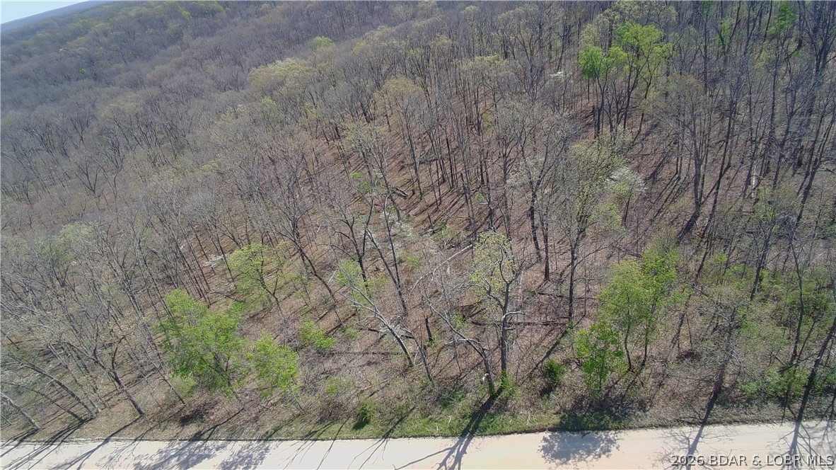 Tbd Tbd Geronimo Springs Road Macks Creek, MO 65786 - Photo 7 of 10