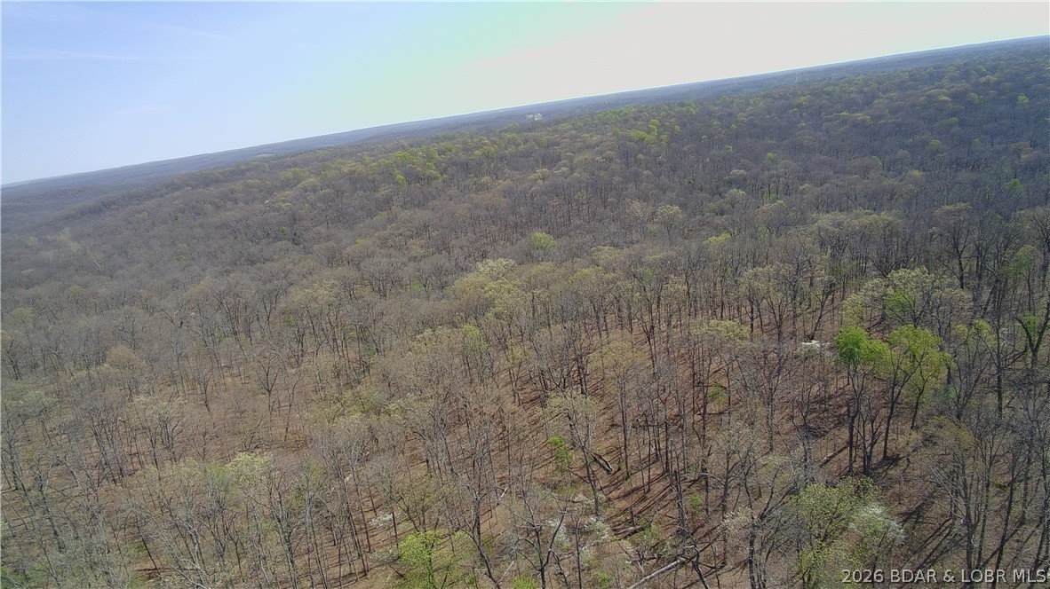 Tbd Tbd Geronimo Springs Road Macks Creek, MO 65786 - Photo 8 of 10