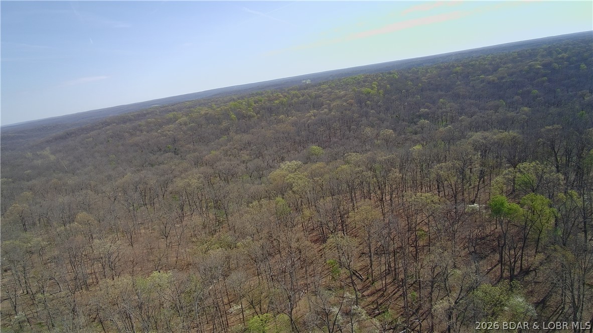 Tbd Tbd Geronimo Springs Road Macks Creek, MO 65786 - Photo 10 of 10 Property is 1/2 mile deep