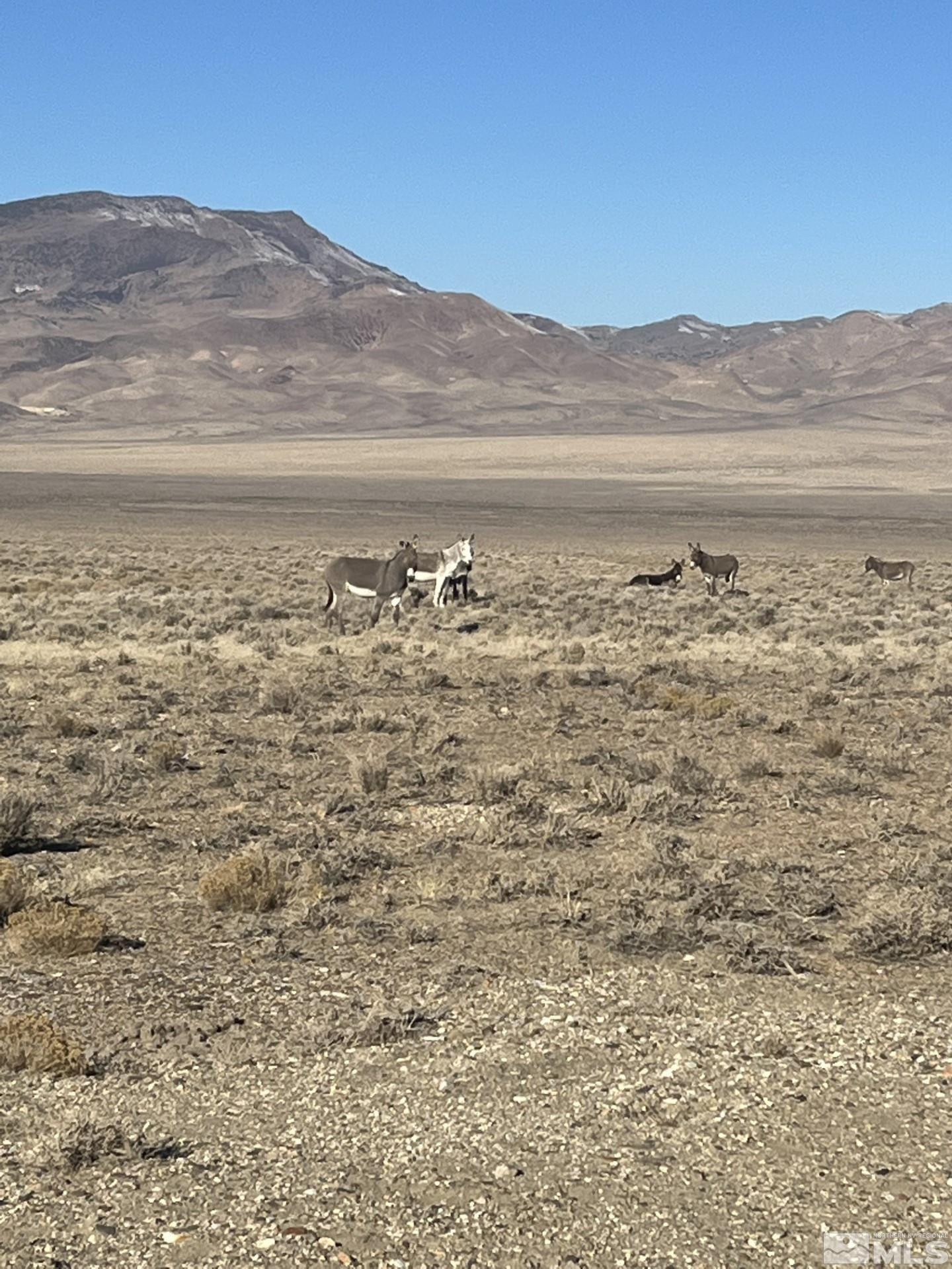 T29 Sec 9 Lovelock, NV 89419 - Photo 11 of 12 a view of ocean with mountains