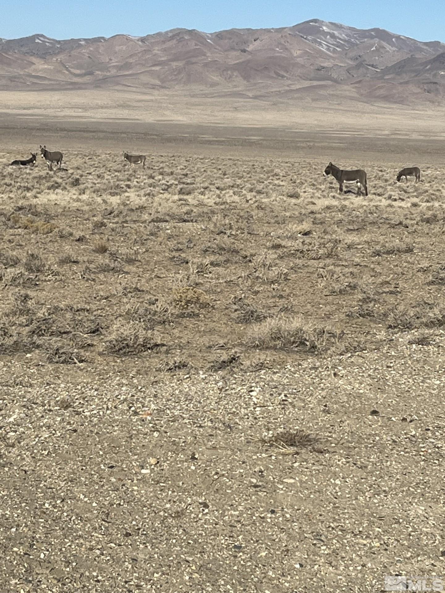 T29 Sec 9 Lovelock, NV 89419 - Photo 12 of 12 a view of ocean
