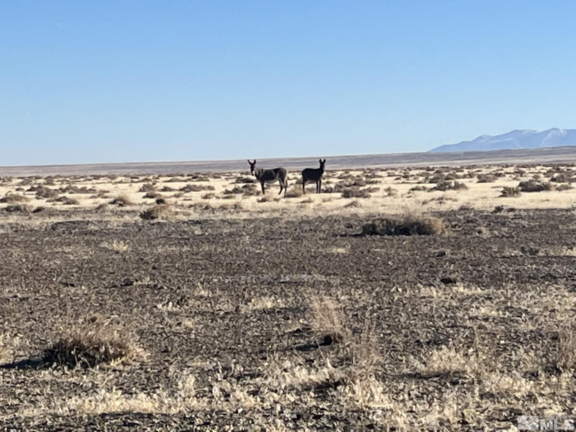 T29 Sec 9 Lovelock, NV 89419 - Photo 10 of 12 a view of an ocean