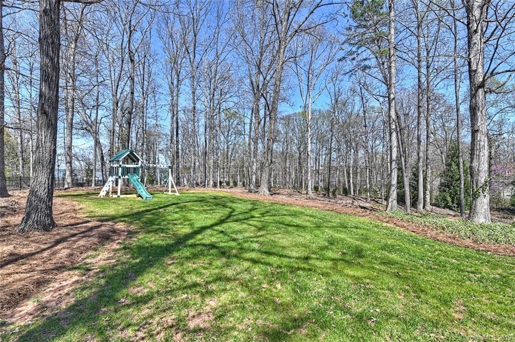 146 Dedham Loop Mooresville, NC 28117 - Photo 25 of 29 a view of a park with large trees