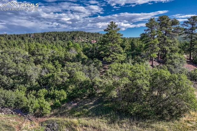 Perry Park Road Larkspur, CO 80118 - Photo 33 of 50 Gallery Image 33