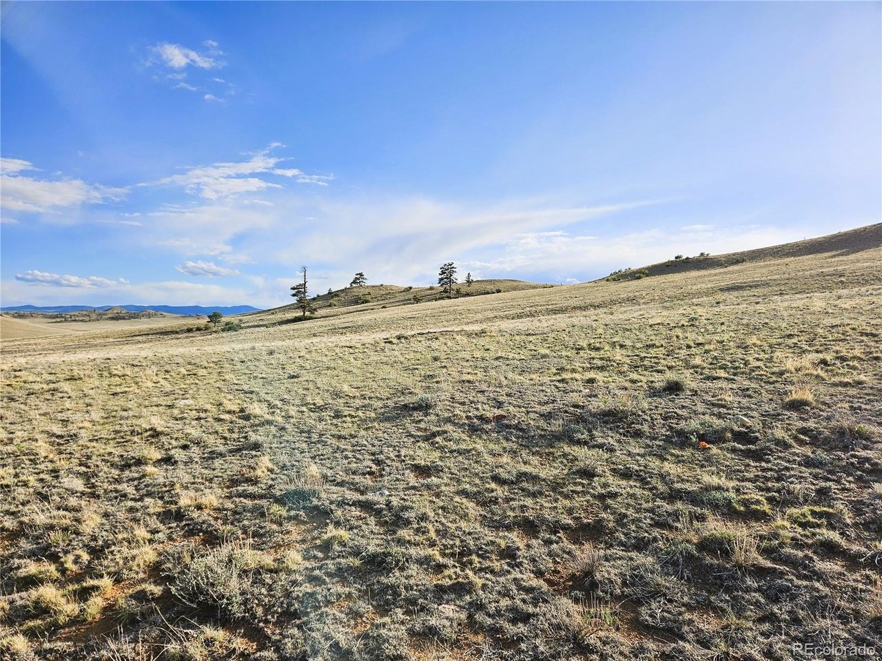 24142 Antero Road Hartsel, CO 80449 - Photo 8 of 48