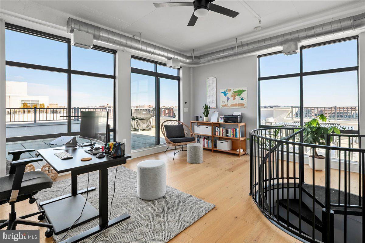 2020 12th Street Northwest, Unit 812 Washington, DC 20009 - Photo 25 of 38 a view of a livingroom with furniture and a potted plant