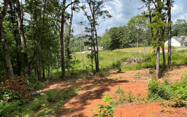 Additional View