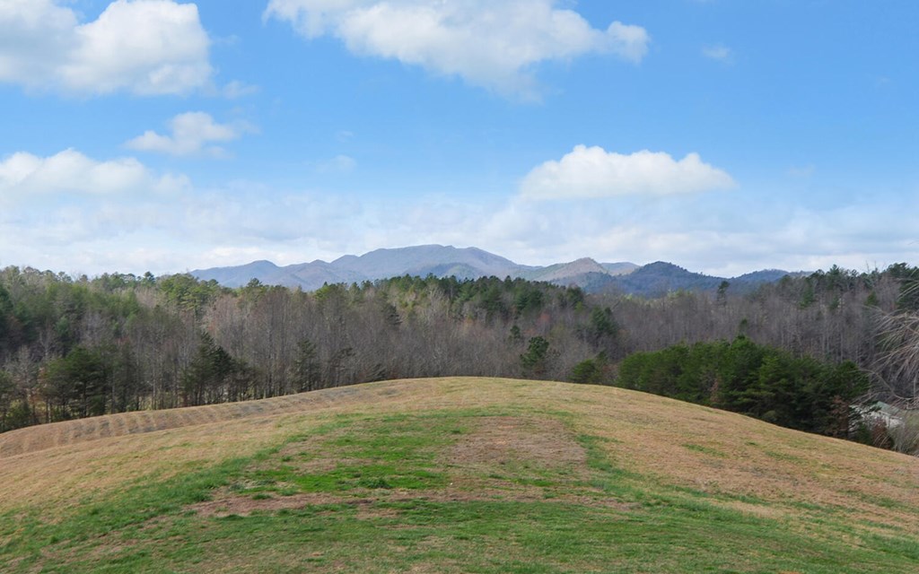 140 Newman Road Farner, TN 37333 - Photo 34 of 61