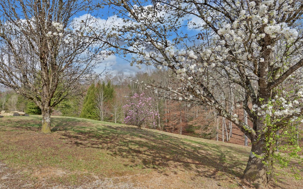 140 Newman Road Farner, TN 37333 - Photo 49 of 61