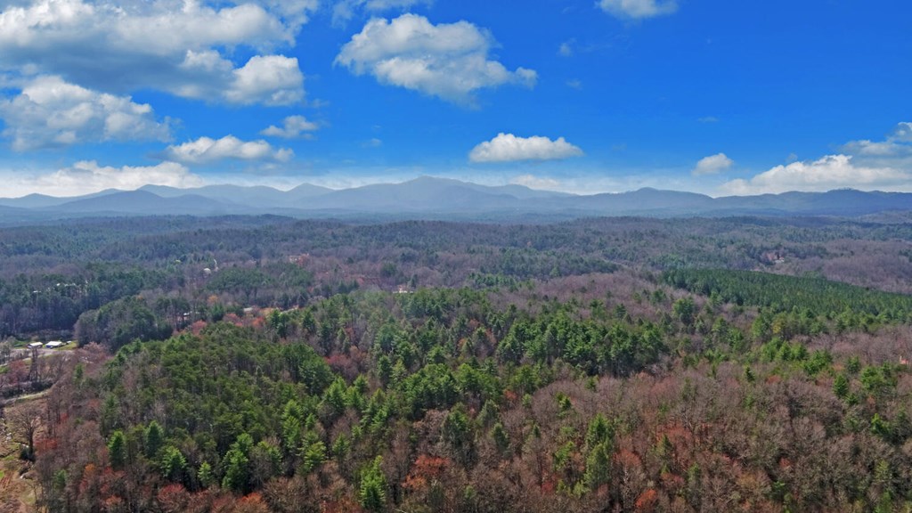 140 Newman Road Farner, TN 37333 - Photo 56 of 61