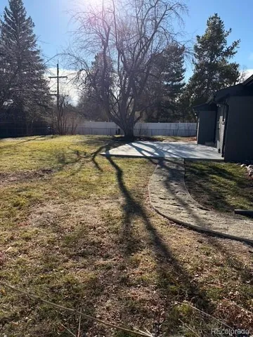 a view of a yard with large trees
