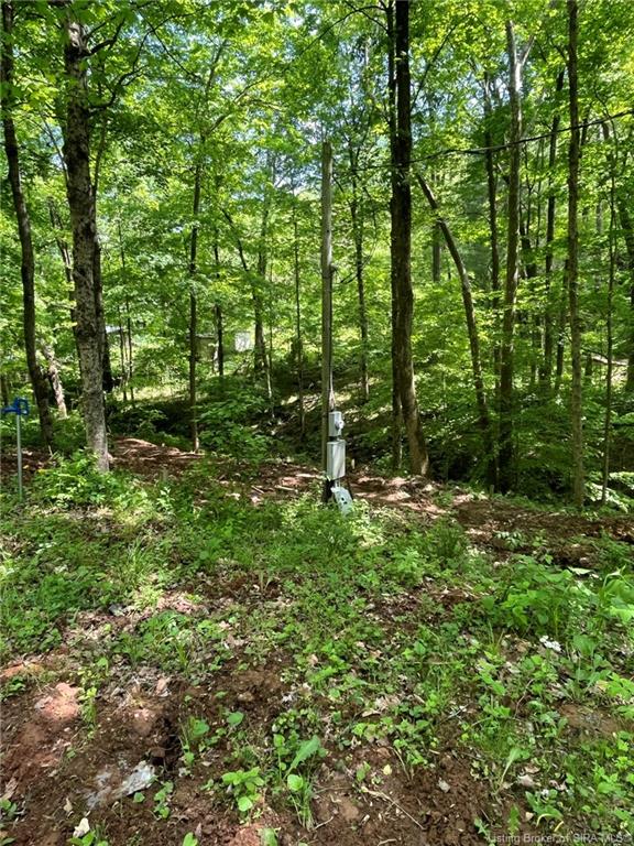 6975 New Amsterdam Road Southwest Central, IN 47110 - Photo 11 of 17