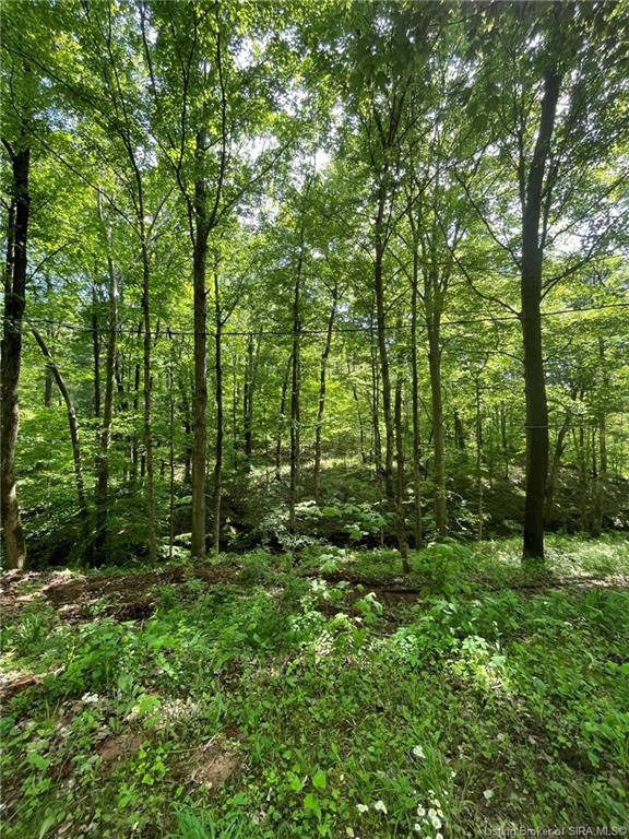6975 New Amsterdam Road Southwest Central, IN 47110 - Photo 12 of 17
