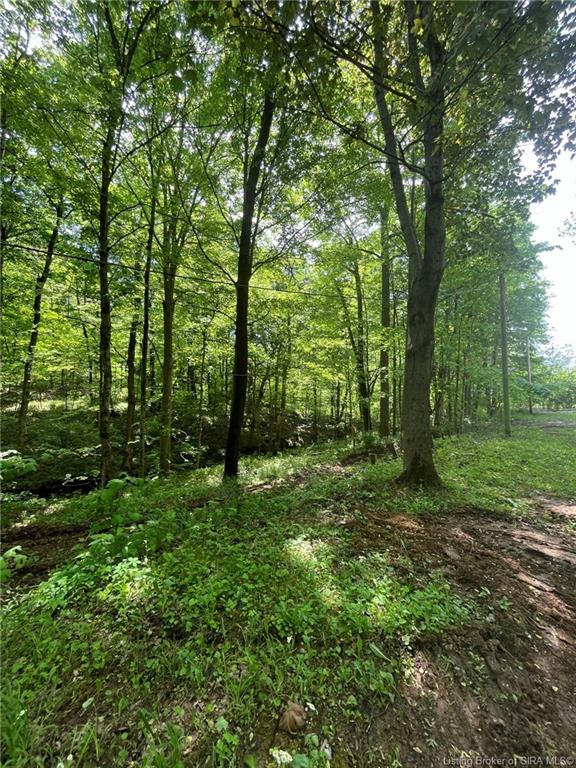 6975 New Amsterdam Road Southwest Central, IN 47110 - Photo 13 of 17