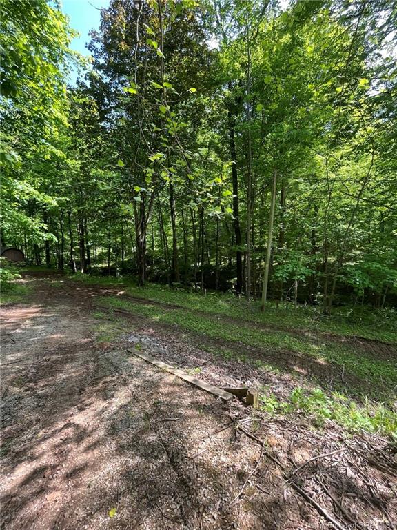 6975 New Amsterdam Road Southwest Central, IN 47110 - Photo 16 of 17