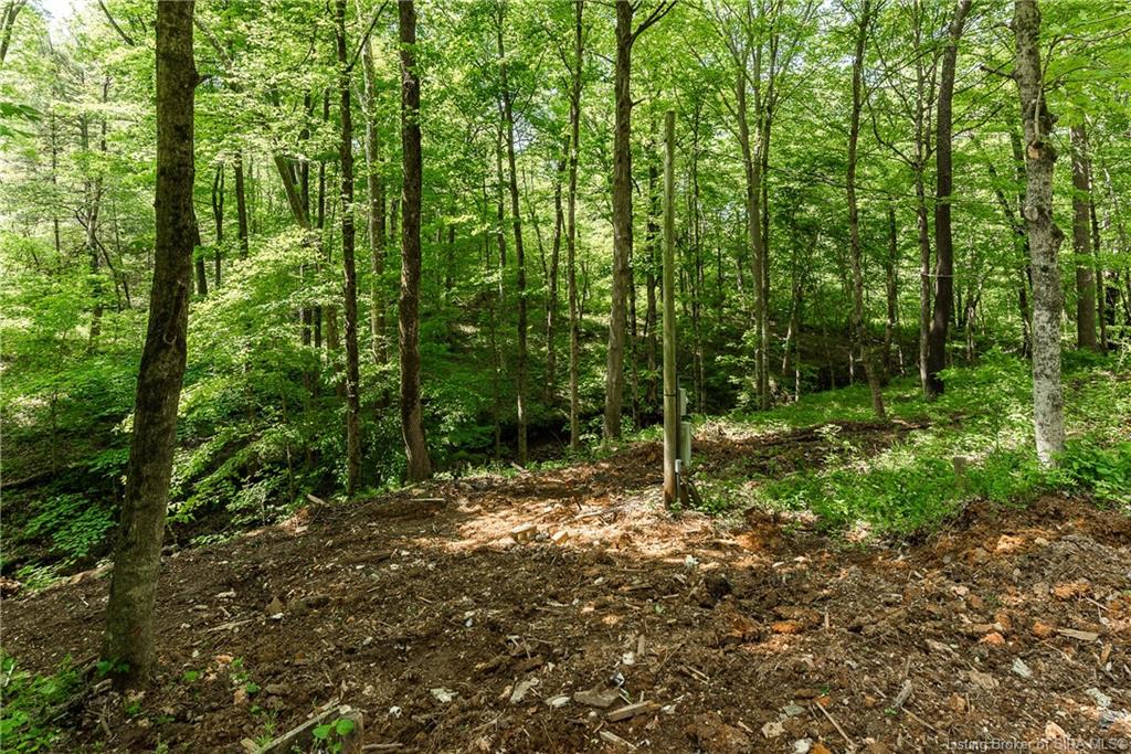 6975 New Amsterdam Road Southwest Central, IN 47110 - Photo 4 of 17