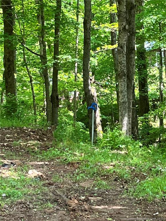 6975 New Amsterdam Road Southwest Central, IN 47110 - Photo 9 of 17