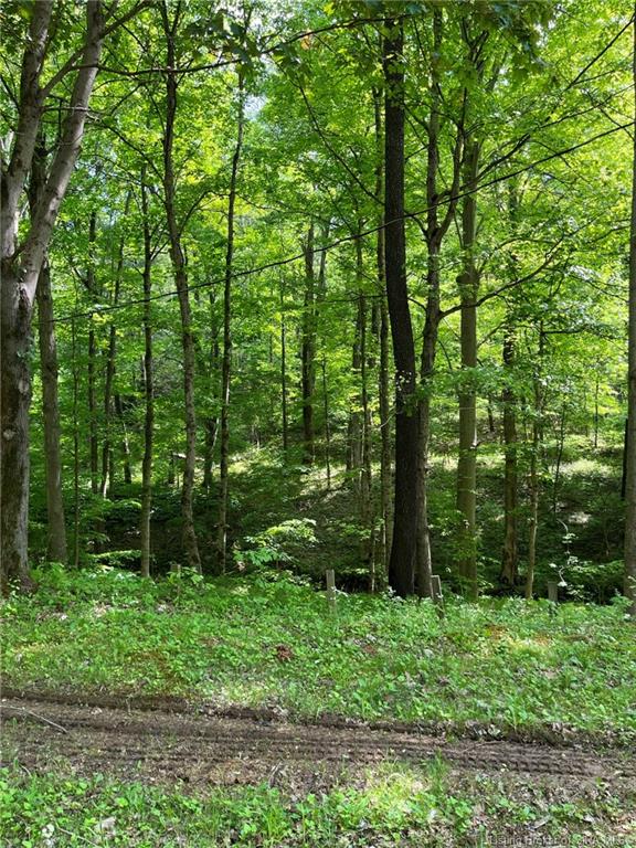 6975 New Amsterdam Road Southwest Central, IN 47110 - Photo 10 of 17