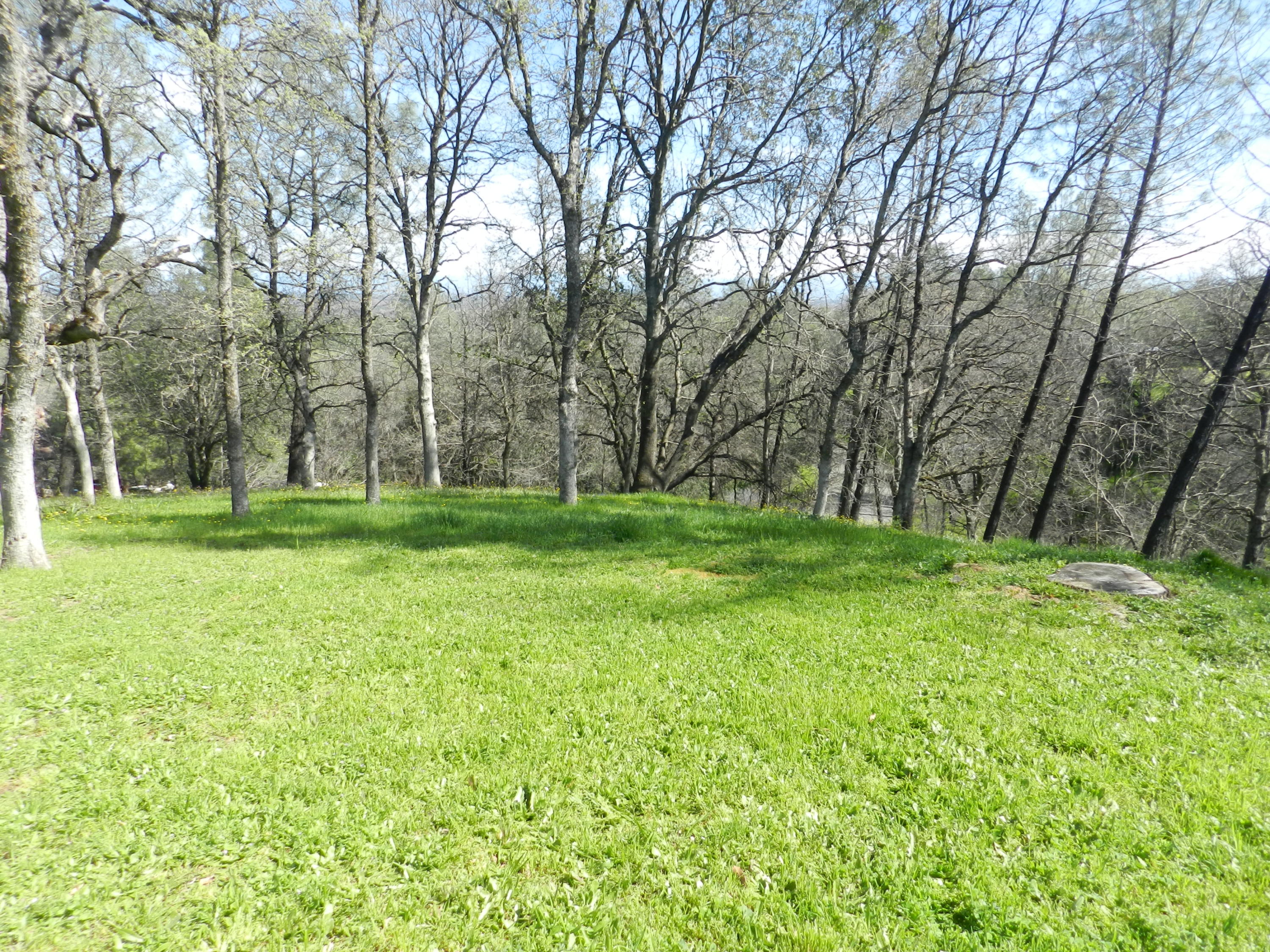 8760 Valley View Road Redding, CA 96001 - Photo 26 of 42 a backyard of a house with lots of green space
