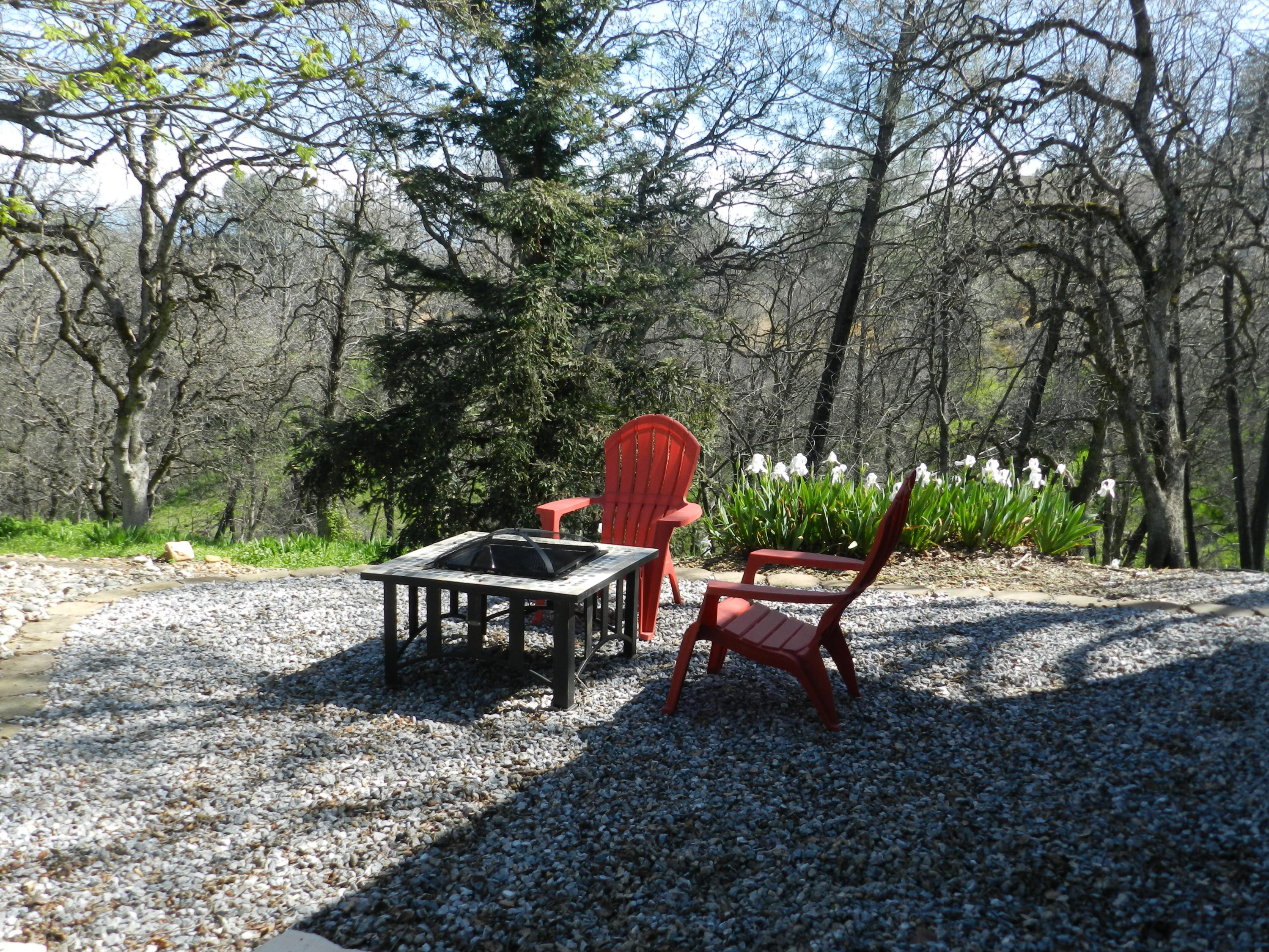 8760 Valley View Road Redding, CA 96001 - Photo 30 of 42 a wooden bench sitting in the middle of a park