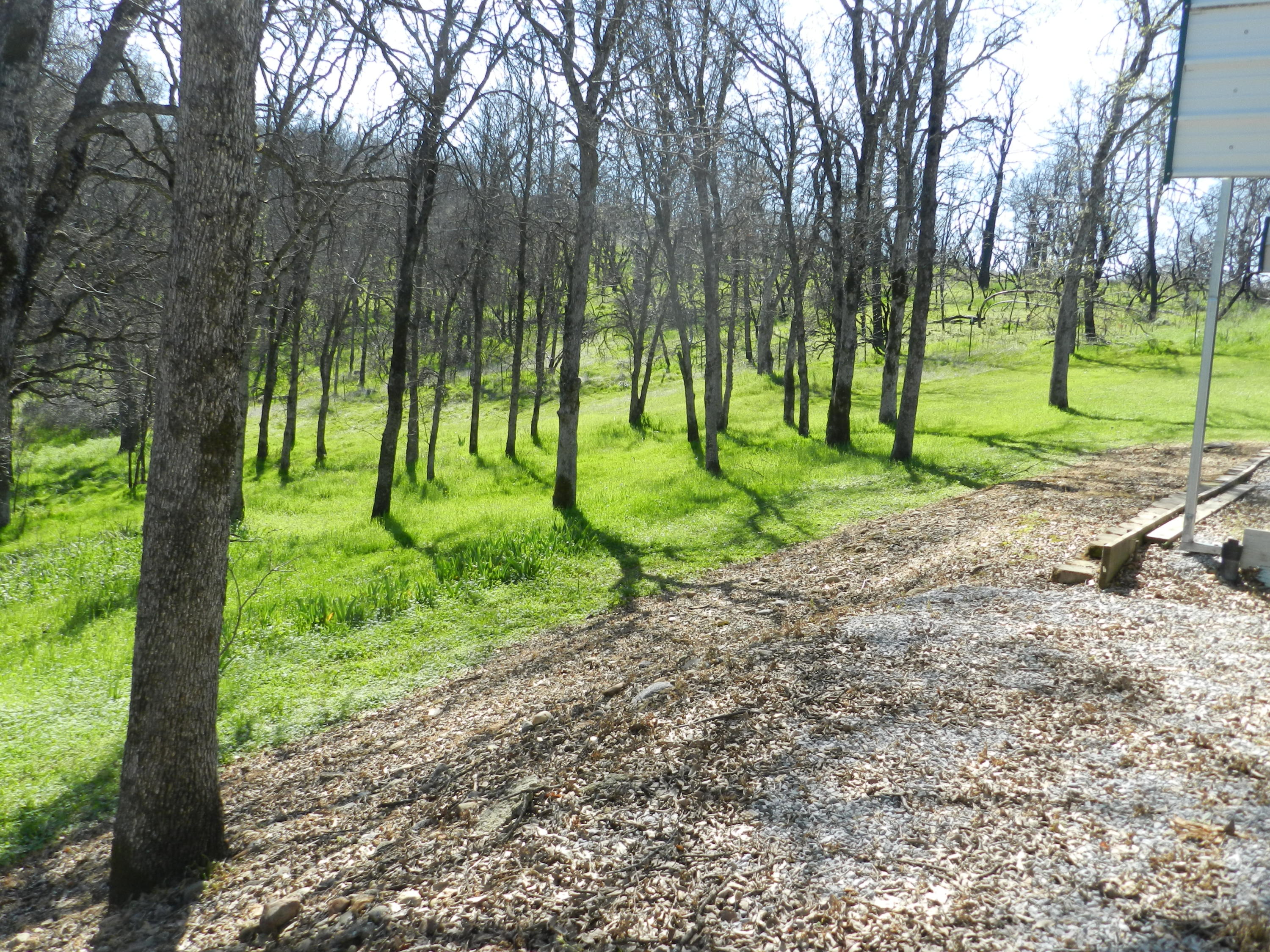 8760 Valley View Road Redding, CA 96001 - Photo 32 of 42 a view of a park