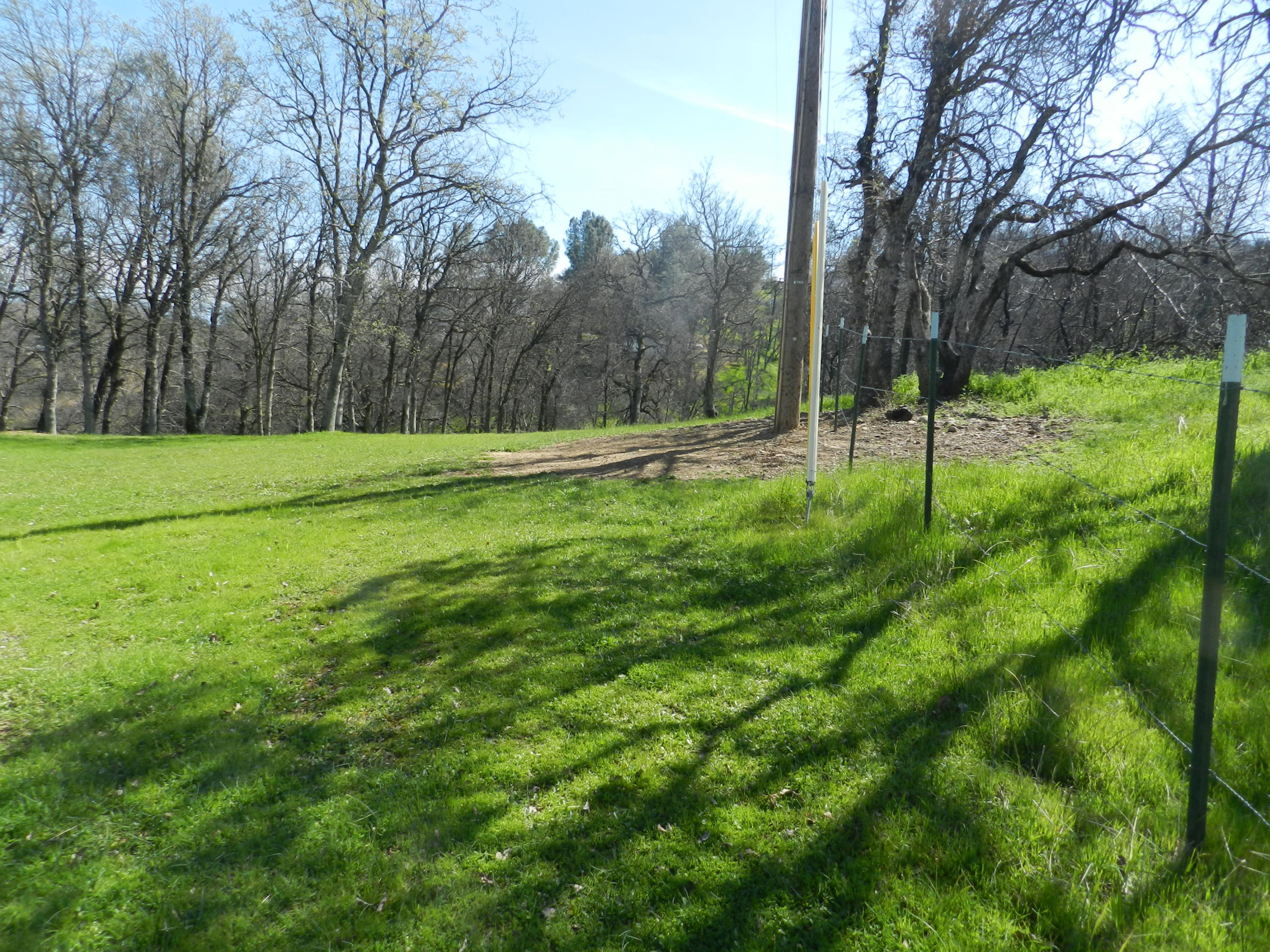 8760 Valley View Road Redding, CA 96001 - Photo 38 of 42 a view of a grassy field with trees in the background