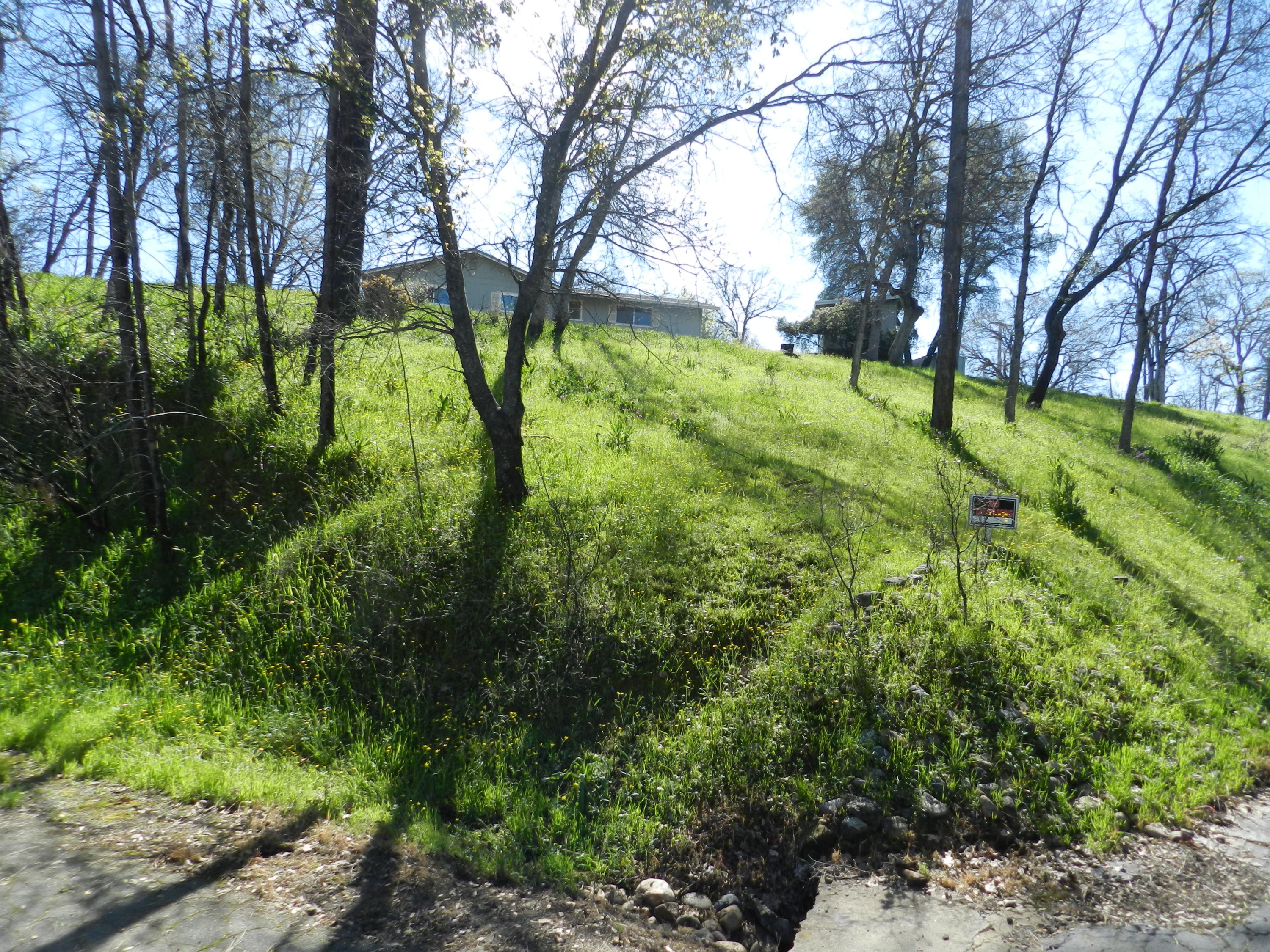 8760 Valley View Road Redding, CA 96001 - Photo 42 of 42 a backyard of a house with lots of green space