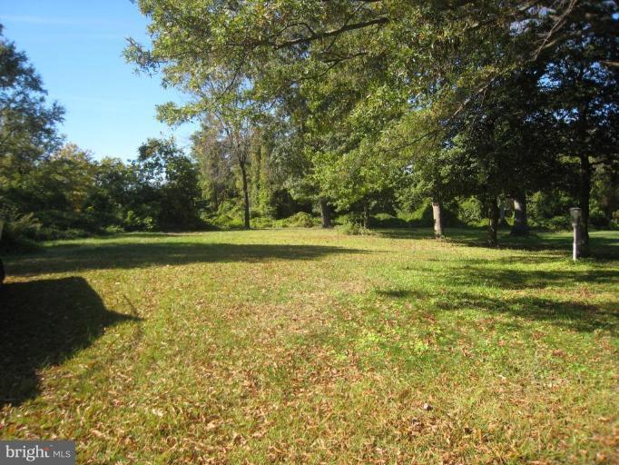 118 Riverside Road Edgewater, MD 21037 - Photo 5 of 7 Wooded View / Acreage