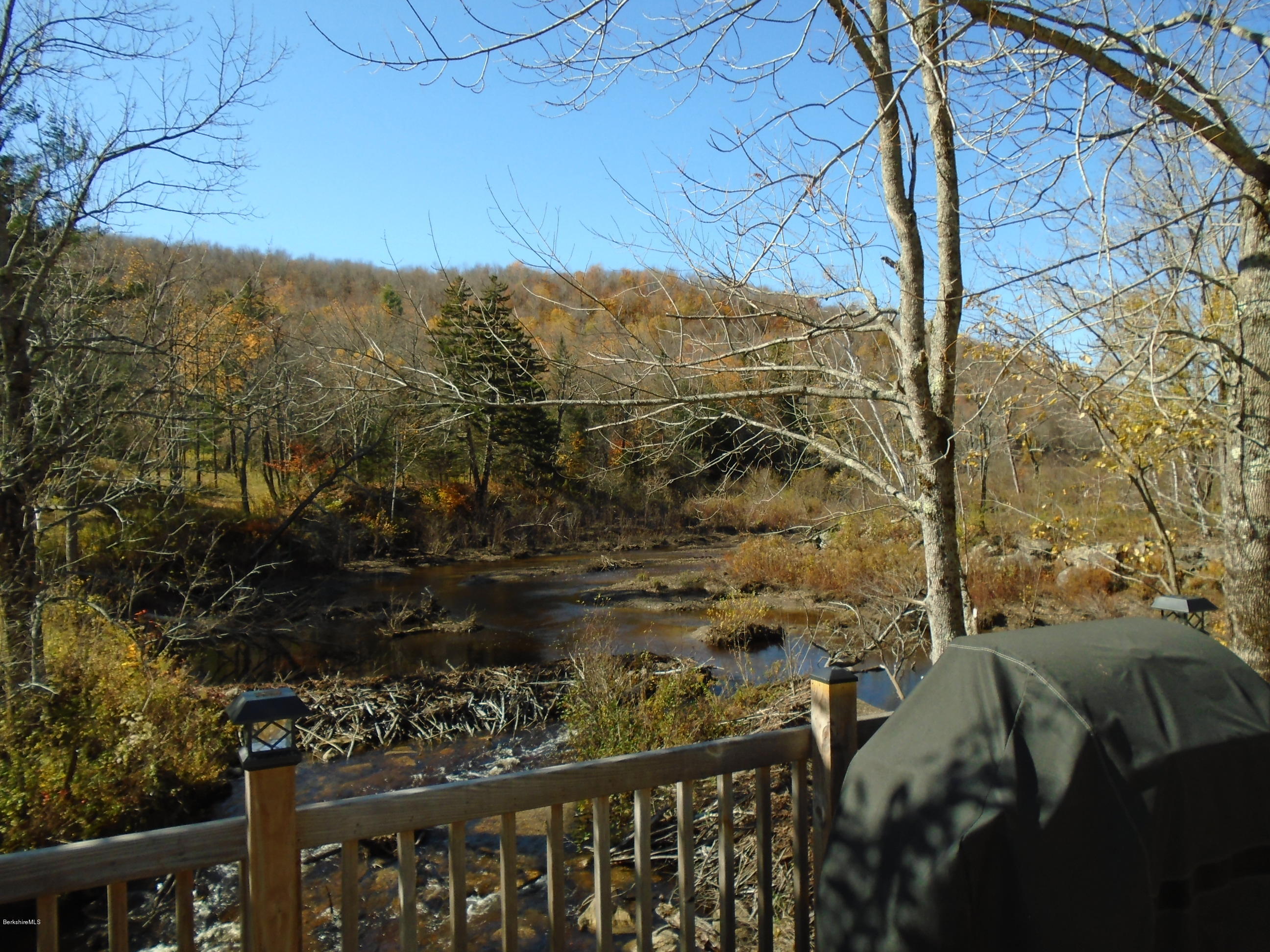 4 River Road Savoy, MA 01256 - Photo 13 of 39 a view of a forest