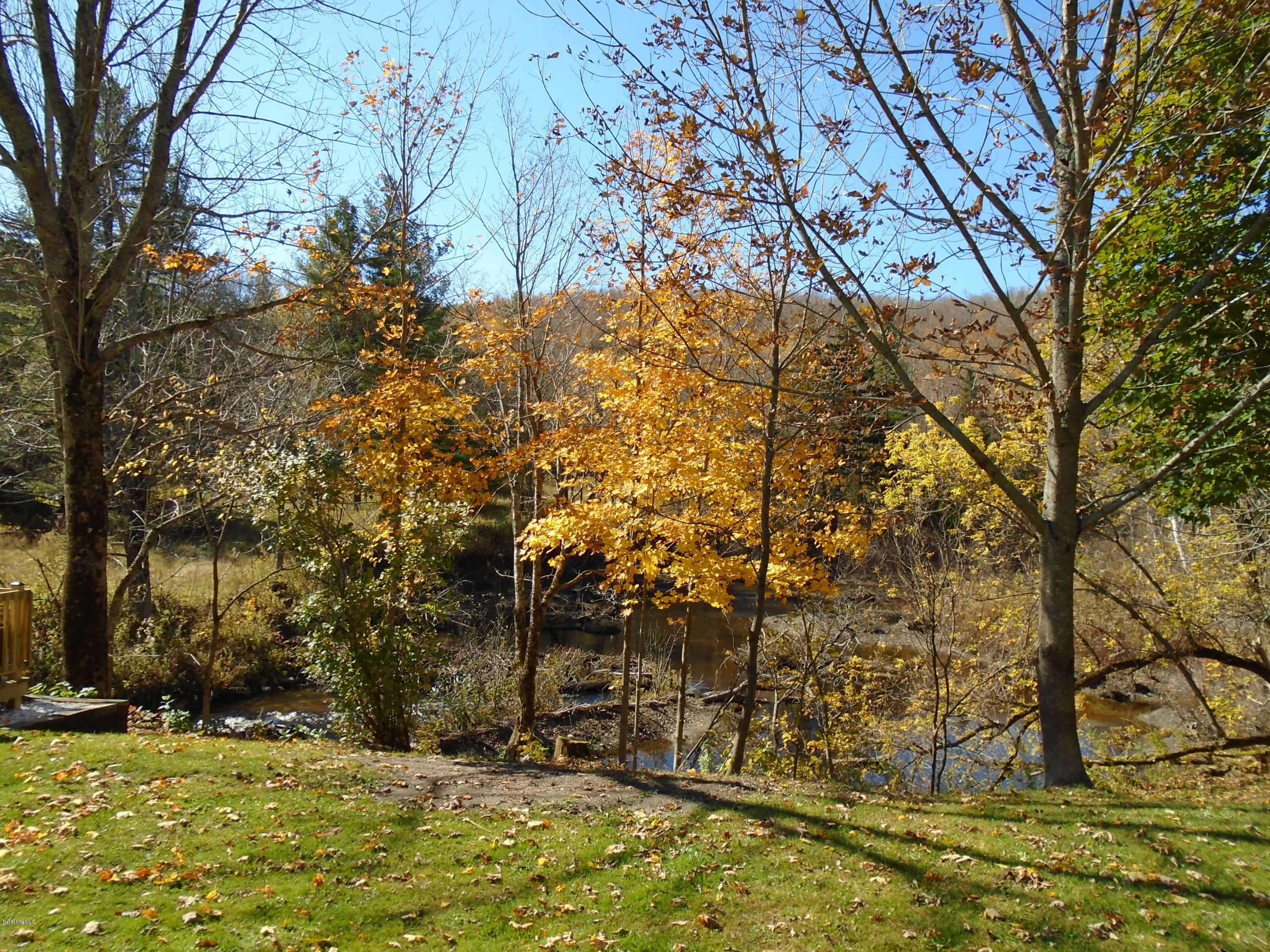 4 River Road Savoy, MA 01256 - Photo 7 of 39 a view of yard with trees