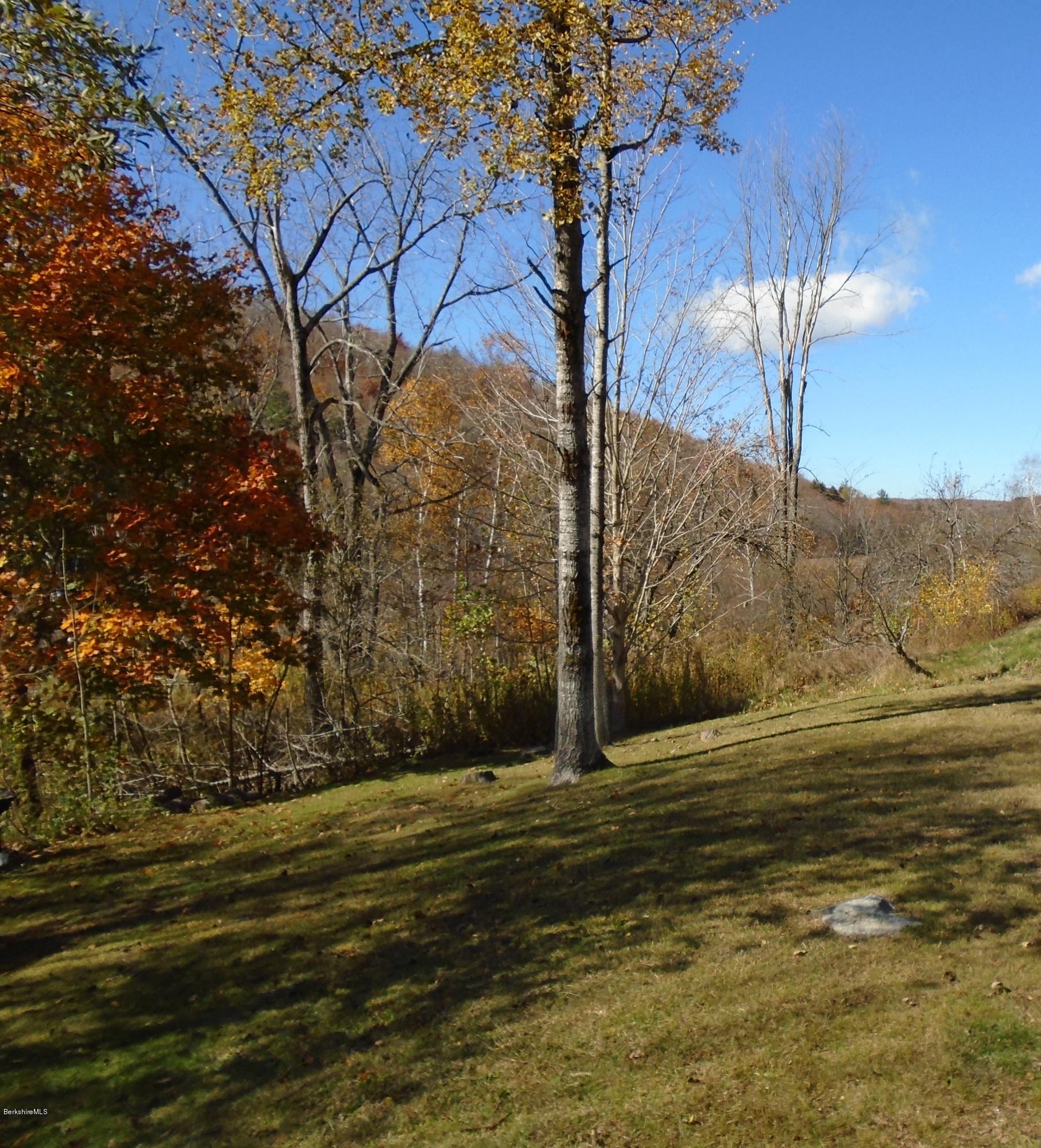 4 River Road Savoy, MA 01256 - Photo 8 of 39 a view of a field with an trees