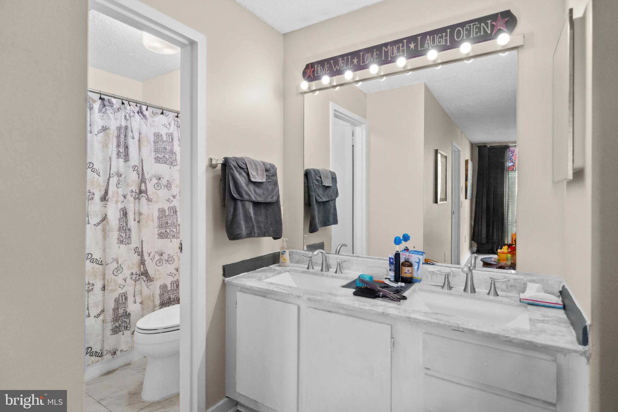 2363 Nutmeg Terrace Baltimore, MD 21209 - Photo 22 of 29 a bathroom with a sink a toilet and shower curtain