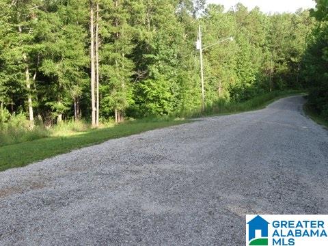 Crystal Cove Wedowee, AL 36278 - Photo 3 of 4
