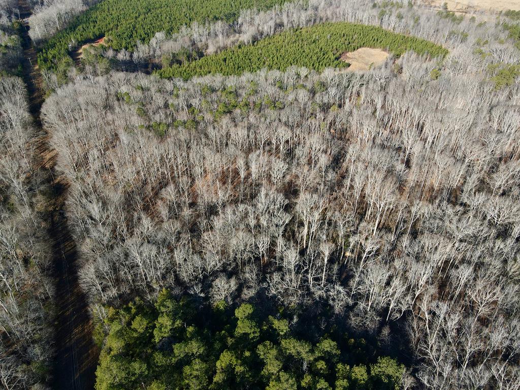 0 Neely Ferry Road Gray Court, SC 29645 - Photo 4 of 23 Gallery Image 4