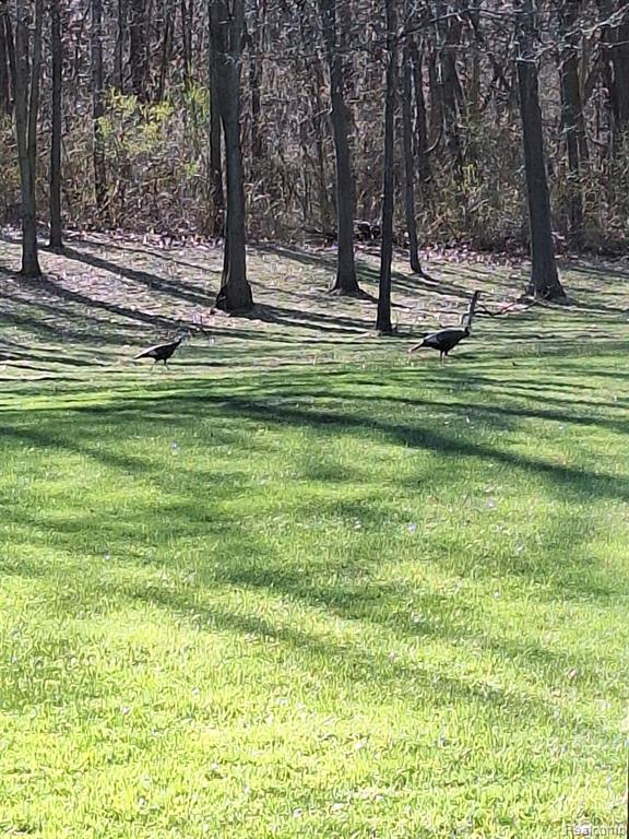 17144 Rosehill Road Pinckney, MI 48169 - Photo 38 of 39