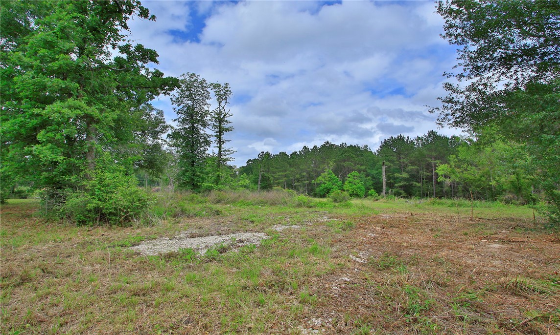 5914 Carter Road Waller, TX 77484 - Photo 33 of 41