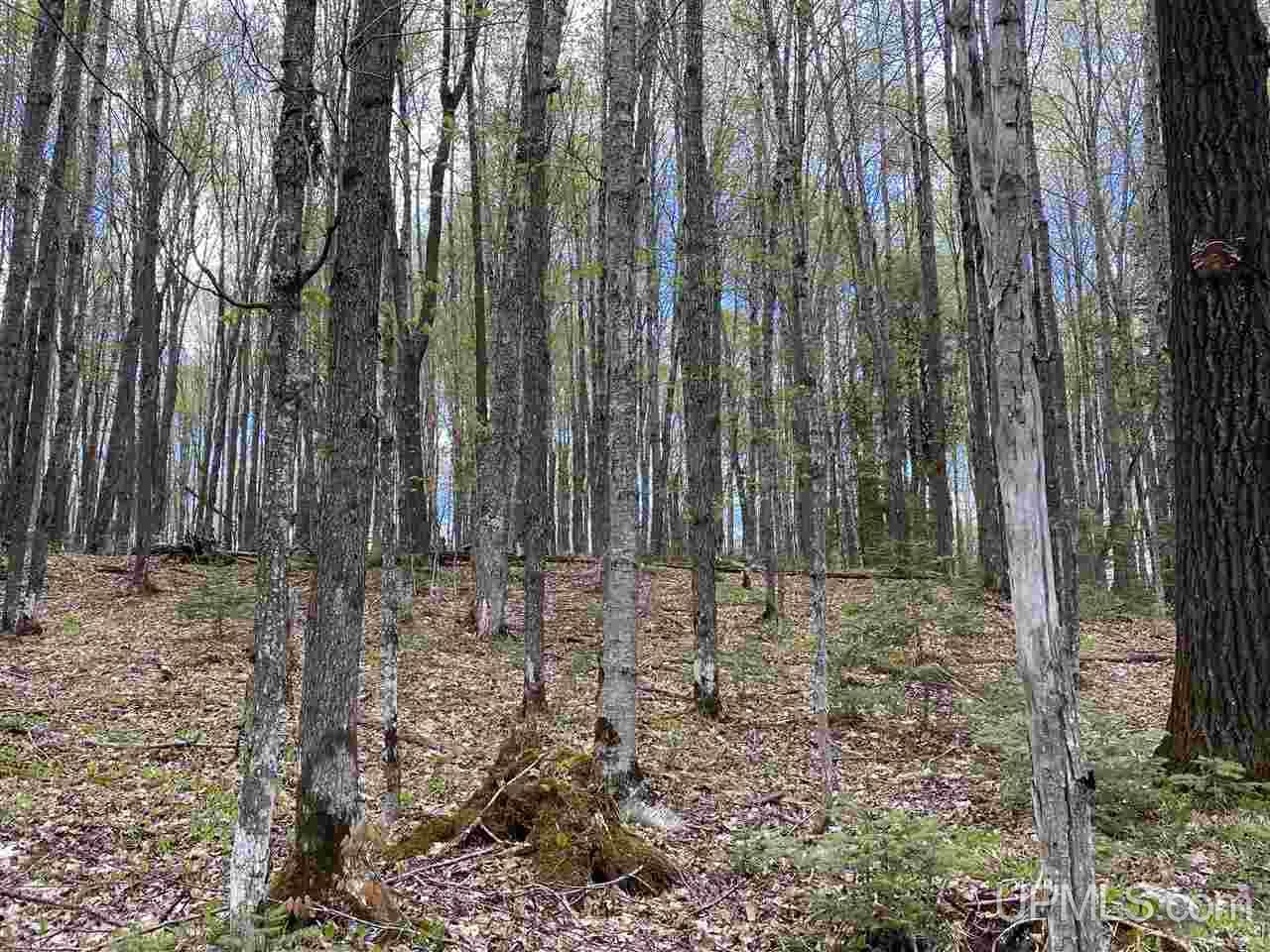 On On Chaney Cove Road, Unit LOT 1 Bessemer, MI 49911 - Photo 15 of 28